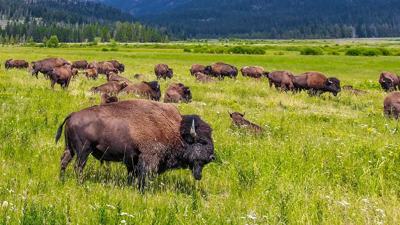 black-vista-rv-park-photos9